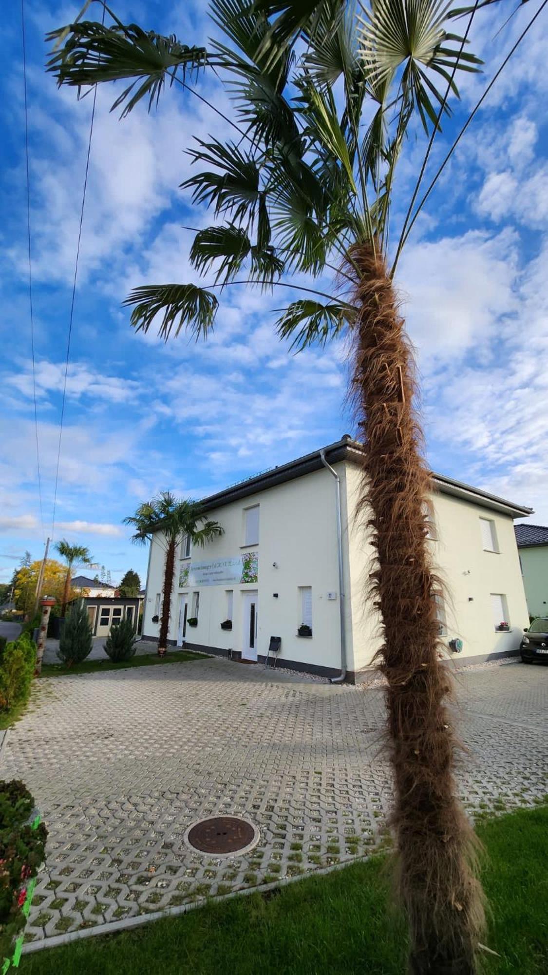 Ferienwohnungen Im Grund 22, 22A, 22C Birkenstein Hoppegarten Extérieur photo